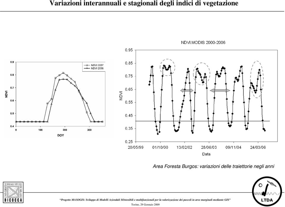 vegetazione Area Foresta