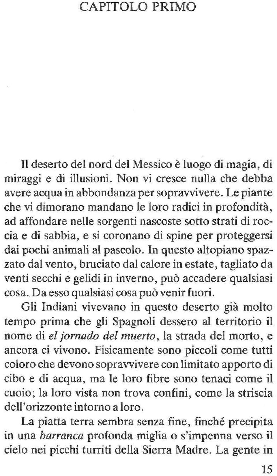 pascolo. In questo altopiano spazzato dal vento, bruciato dal calore in estate, tagliato da venti secchi e gelidi in inverno, può accadere qualsiasi cosa.