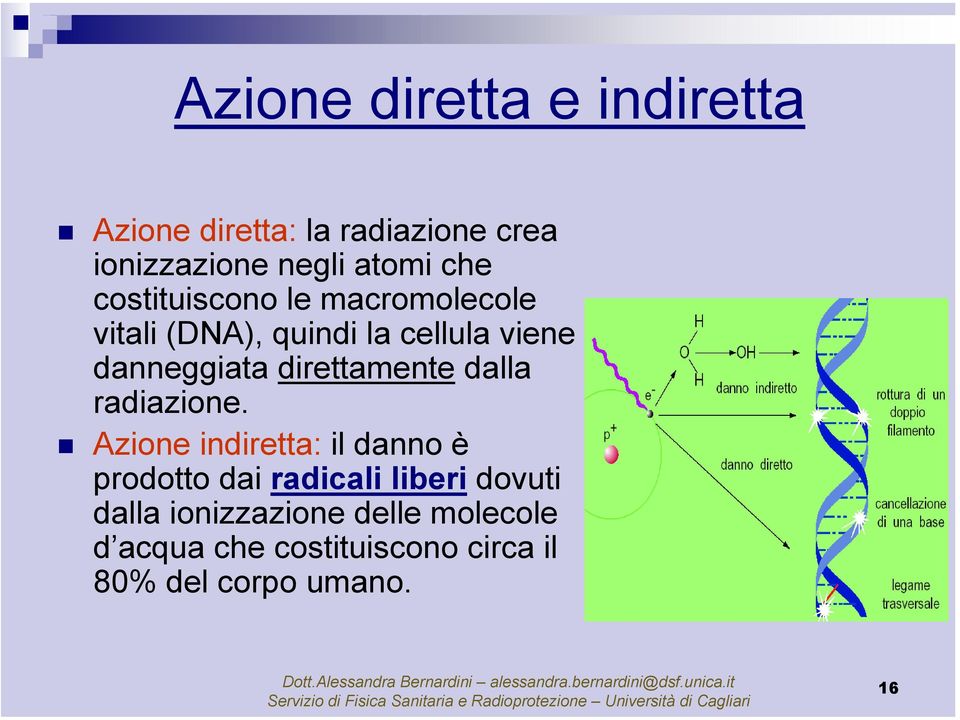 direttamente dalla radiazione.