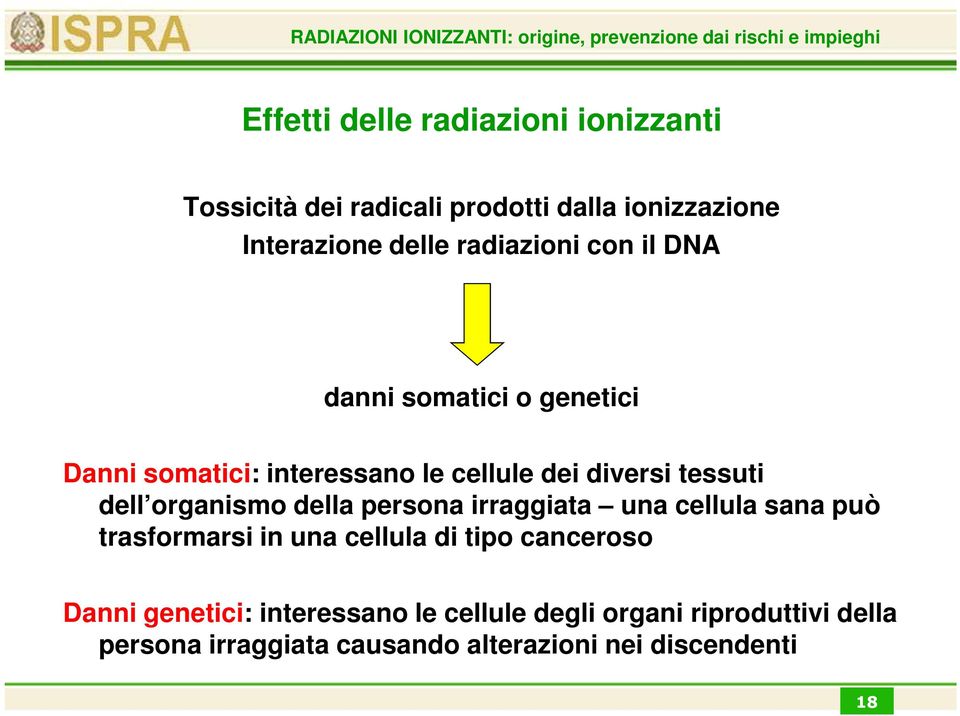 organismo della persona irraggiata una cellula sana può trasformarsi in una cellula di tipo canceroso Danni