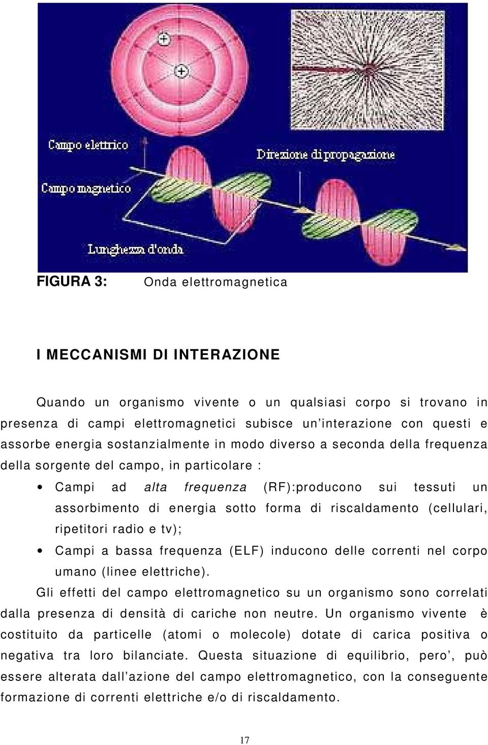 sotto forma di riscaldamento (cellulari, ripetitori radio e tv); Campi a bassa frequenza (ELF) inducono delle correnti nel corpo umano (linee elettriche).