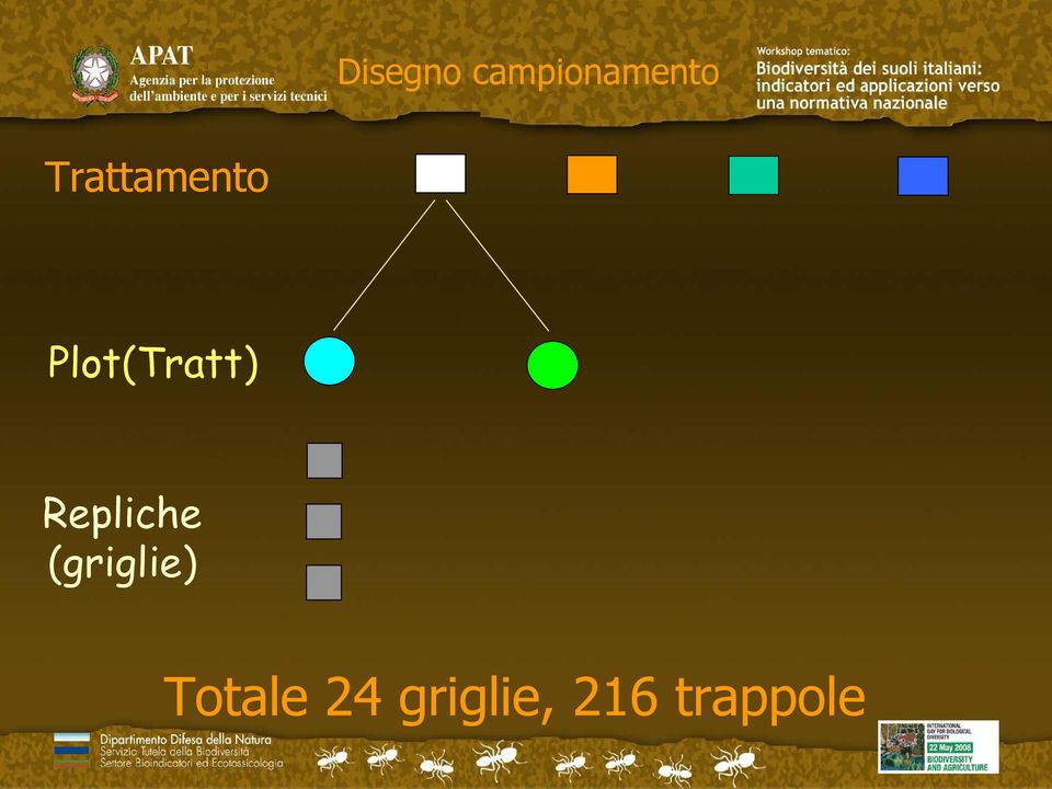 Repliche (griglie)