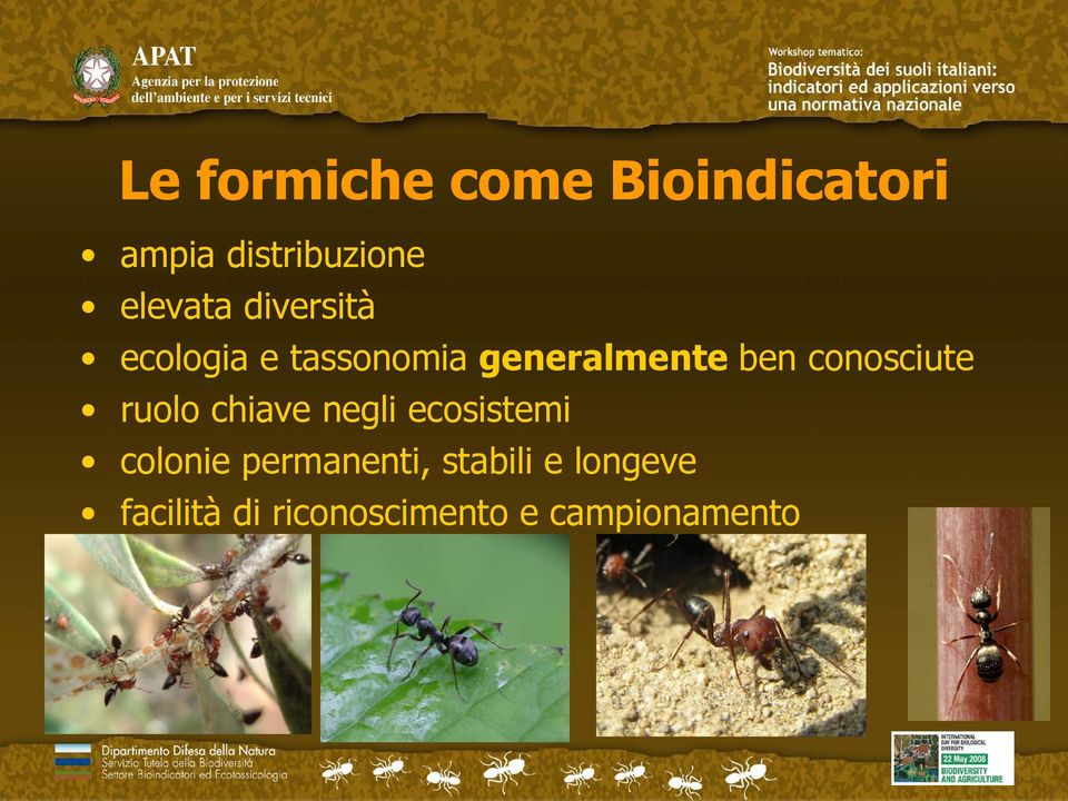 conosciute ruolo chiave negli ecosistemi colonie