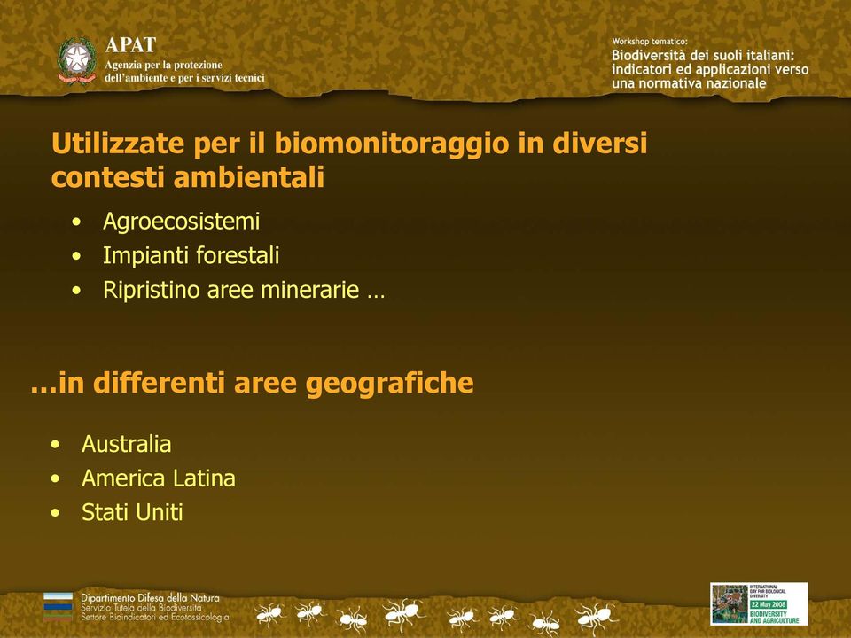 forestali Ripristino aree minerarie in