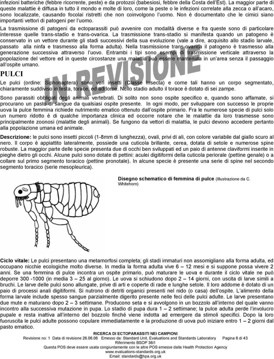 coinvolgono l uomo. Non è documentato che le cimici siano importanti vettori di patogeni per l uomo.