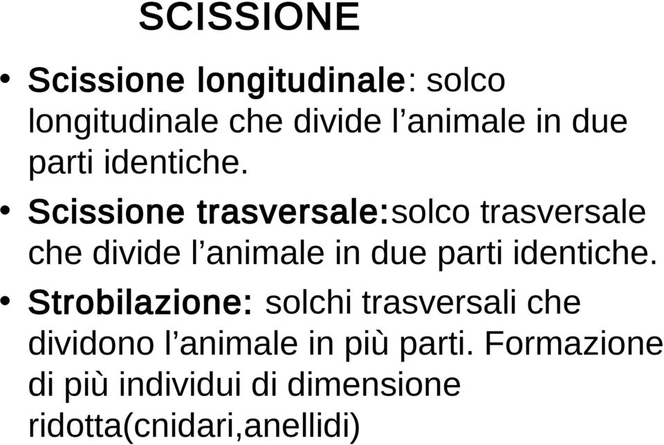 Scissione trasversale:solco trasversale che divide l animale in  Strobilazione: