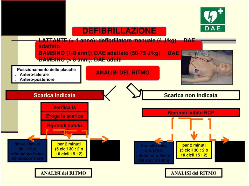 Antero-posteriore ANALISI DEL RITMO Scarica indicata Verifica la sicurezza Eroga la scarica Scarica non indicata Riprendi subito RCP Riprendi subito RCP fino all arrivo del 118 o sfinimento