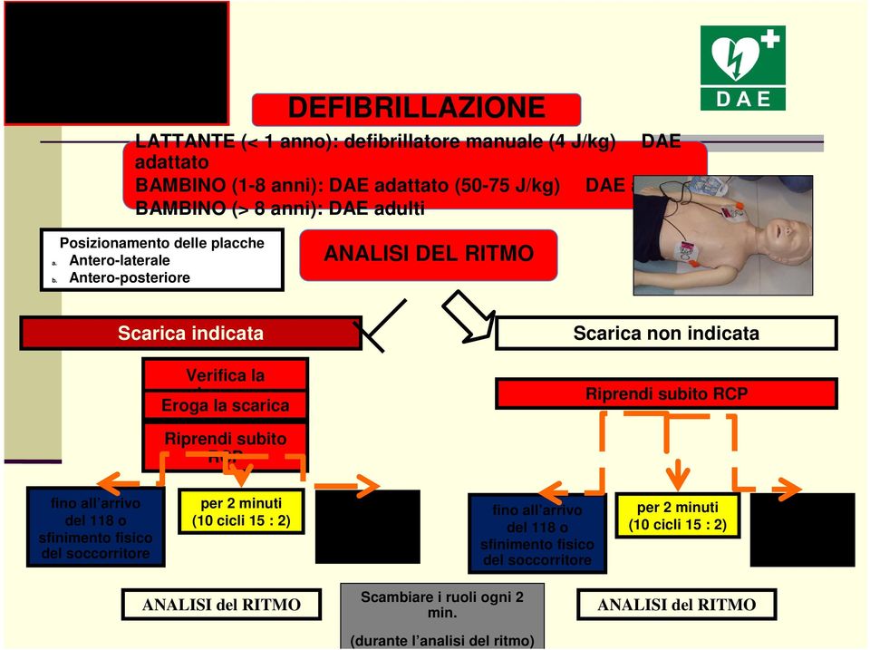 Antero-posteriore ANALISI DEL RITMO Scarica indicata Verifica la sicurezza Eroga la scarica Scarica non indicata Riprendi subito RCP Riprendi subito RCP fino all arrivo del 118 o sfinimento