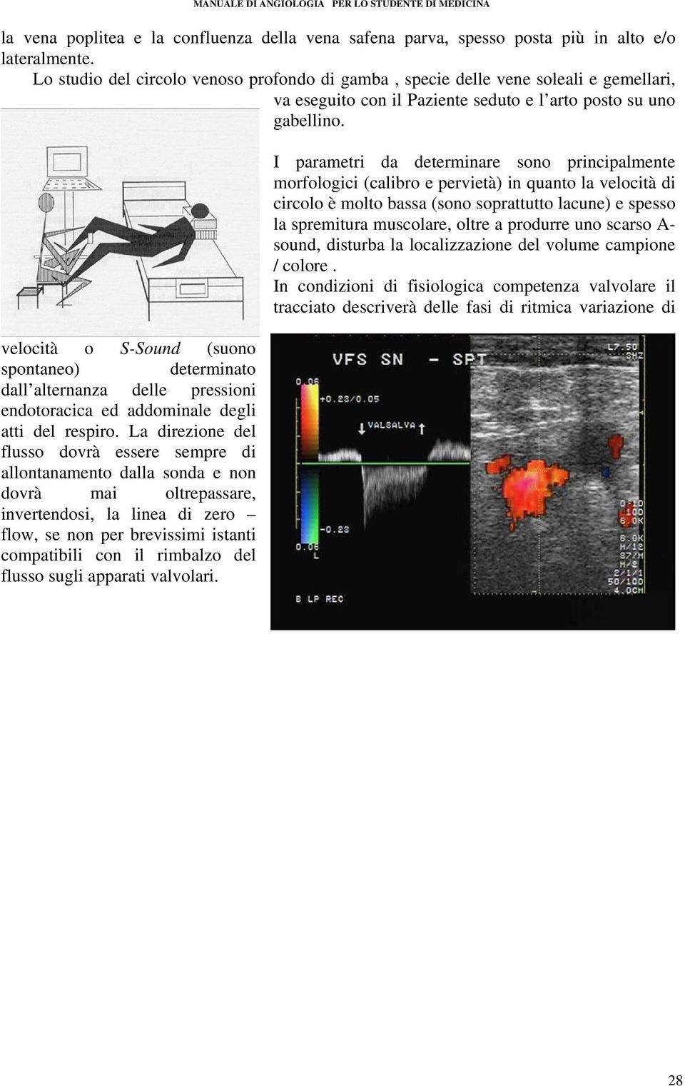 velocità o S-Sound (suono spontaneo) determinato dall alternanza delle pressioni endotoracica ed addominale degli atti del respiro.