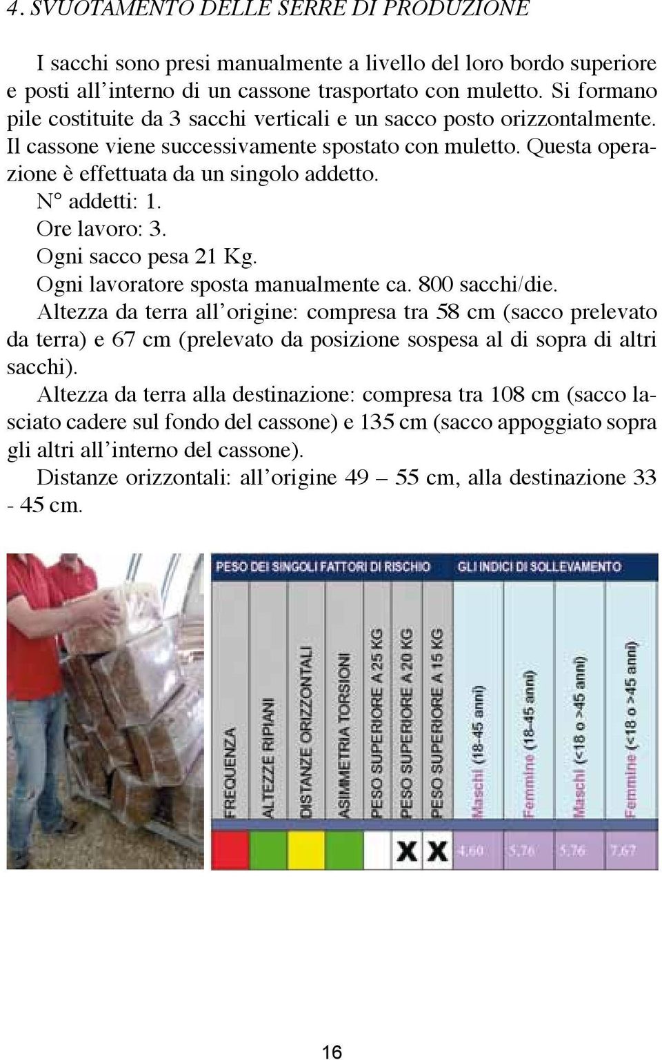 N addetti: 1. Ore lavoro: 3. Ogni sacco pesa 21 Kg. Ogni lavoratore sposta manualmente ca. 800 sacchi/die.