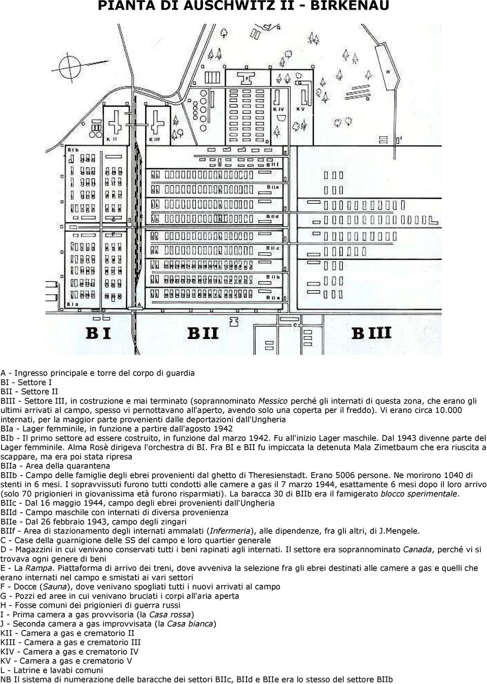 000 internati, per la maggior parte provenienti dalle deportazioni dall'ungheria BIa - Lager femminile, in funzione a partire dall'agosto 1942 BIb - Il primo settore ad essere costruito, in funzione