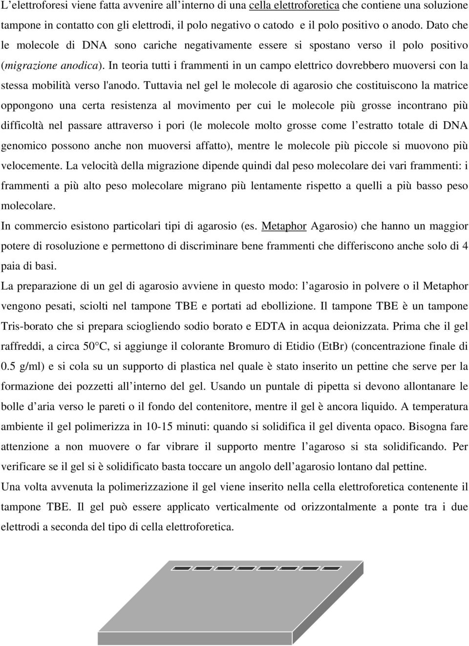 In teoria tutti i frammenti in un campo elettrico dovrebbero muoversi con la stessa mobilità verso l'anodo.