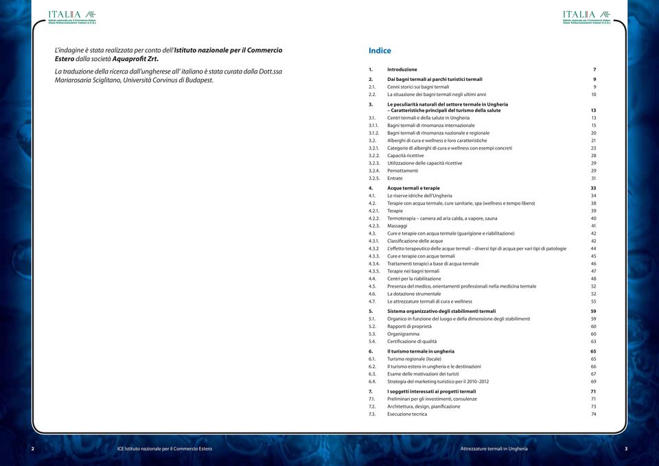 Le peculiarità naturali del settore termale in Ungheria Caratteristiche principali del turismo della salute 13 3.1. Centri termali e della salute in Ungheria 13 3.1.1. Bagni termali di rinomanza internazionale 15 3.