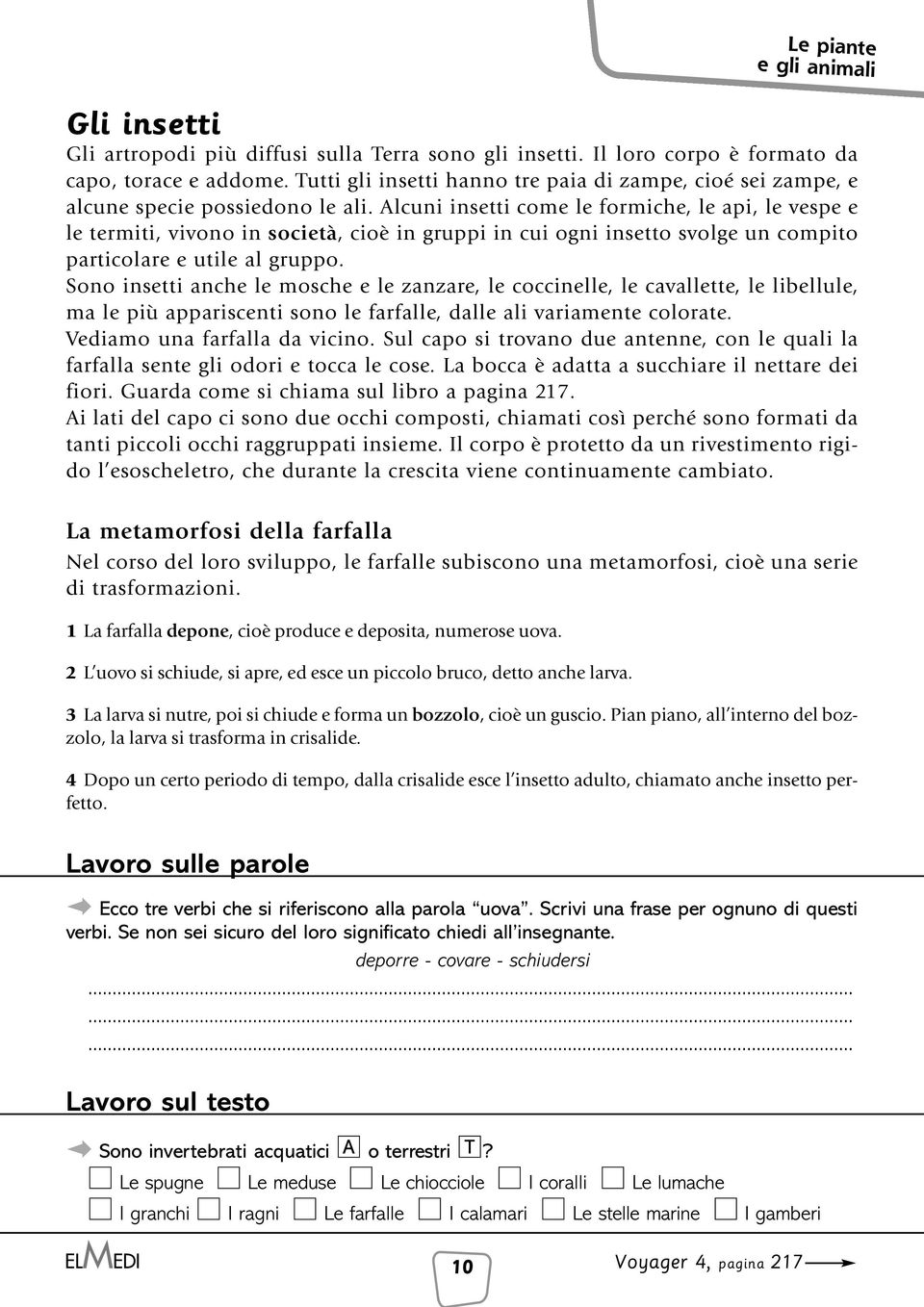 Alcuni insetti come le formiche, le api, le vespe e le termiti, vivono in società, cioè in gruppi in cui ogni insetto svolge un compito particolare e utile al gruppo.