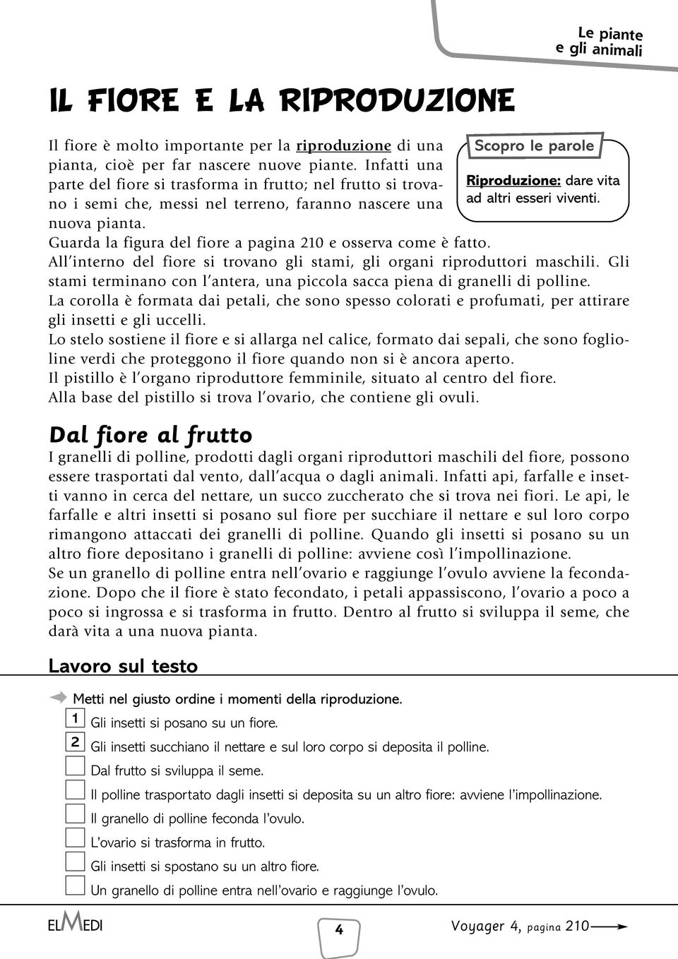 Guarda la figura del fiore a pagina 210 e osserva come è fatto. Riproduzione: dare vita ad altri esseri viventi. All interno del fiore si trovano gli stami, gli organi riproduttori maschili.