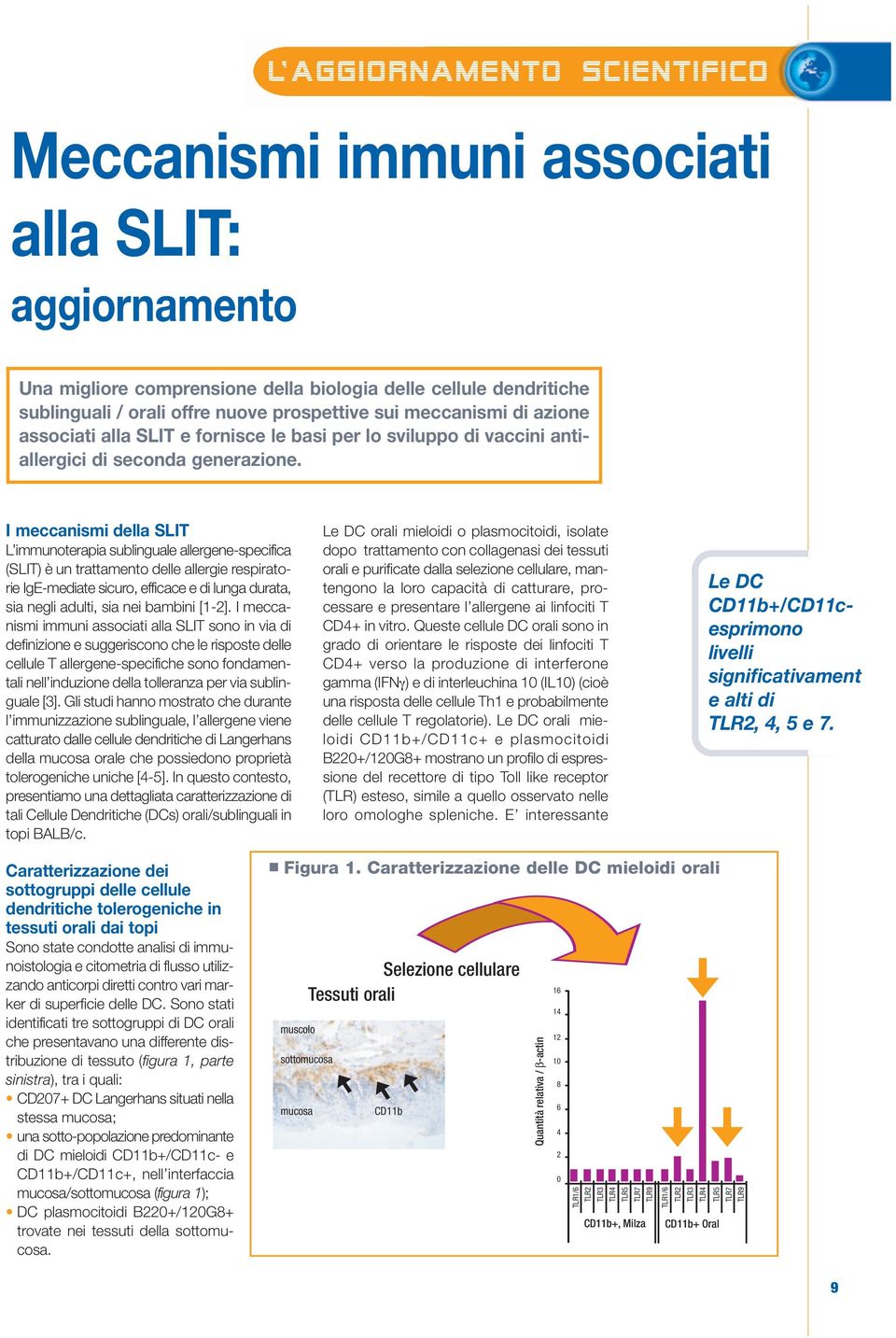 I meccanismi della SLIT L immunoterapia sublinguale allergene-specifica (SLIT) è un trattamento delle allergie respiratorie IgE-mediate sicuro, efficace e di lunga durata, sia negli adulti, sia nei