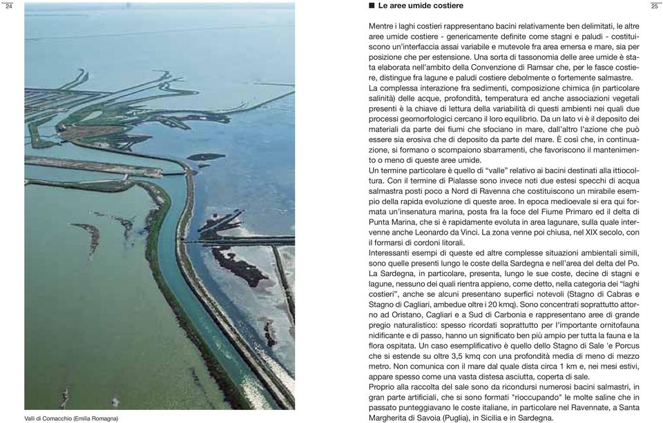 Una sorta di tassonomia delle aree umide è stata elaborata nell ambito della Convenzione di Ramsar che, per le fasce costiere, distingue fra lagune e paludi costiere debolmente o fortemente salmastre.