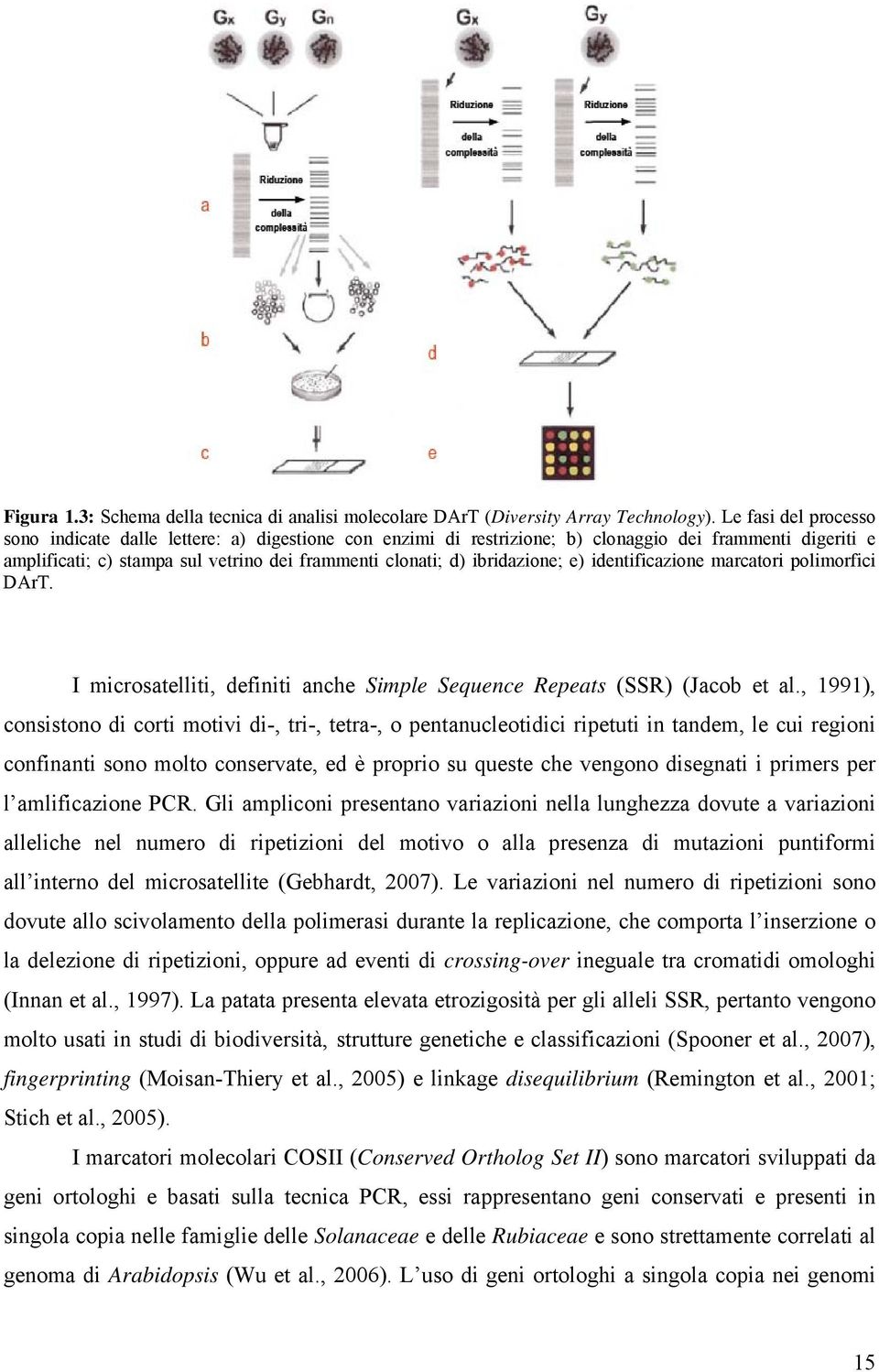 ibridazione; e) identificazione marcatori polimorfici DArT. I microsatelliti, definiti anche Simple Sequence Repeats (SSR) (Jacob et al.