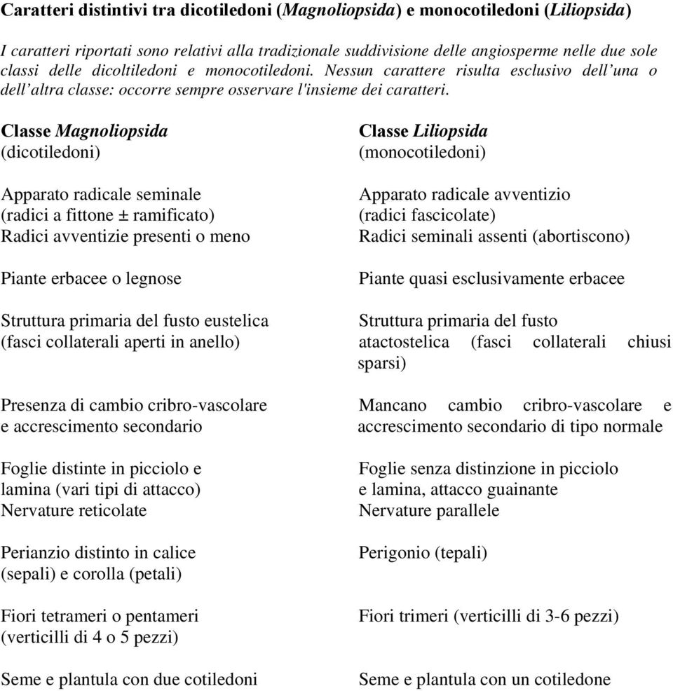 Classe Magnoliopsida (dicotiledoni) Apparato radicale seminale (radici a fittone ± ramificato) Radici avventizie presenti o meno Piante erbacee o legnose Struttura primaria del fusto eustelica (fasci