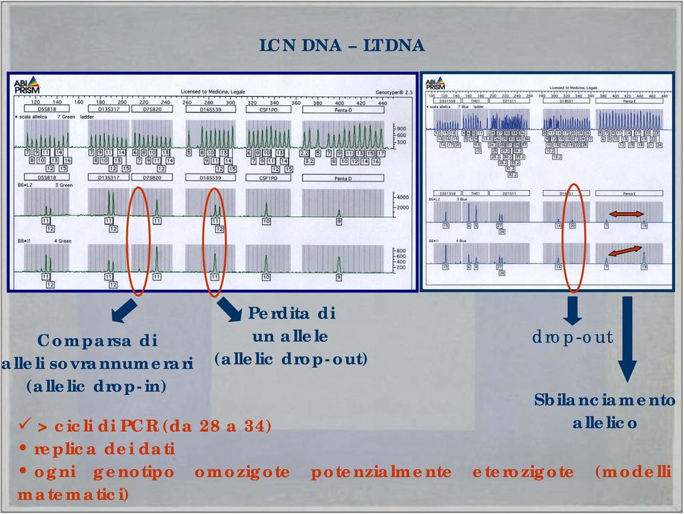 Sbilanciamento allelico > cicli di PCR (da 28 a 34) replica dei