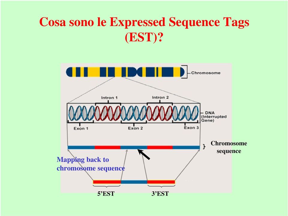 Mapping back to chromosome