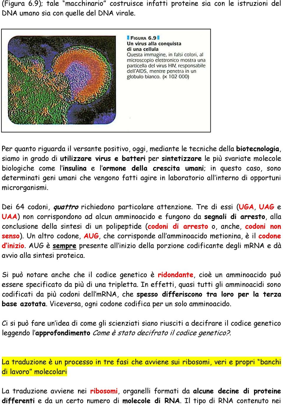 insulina e l ormone della crescita umani; in questo caso, sono determinati geni umani che vengono fatti agire in laboratorio all interno di opportuni microrganismi.