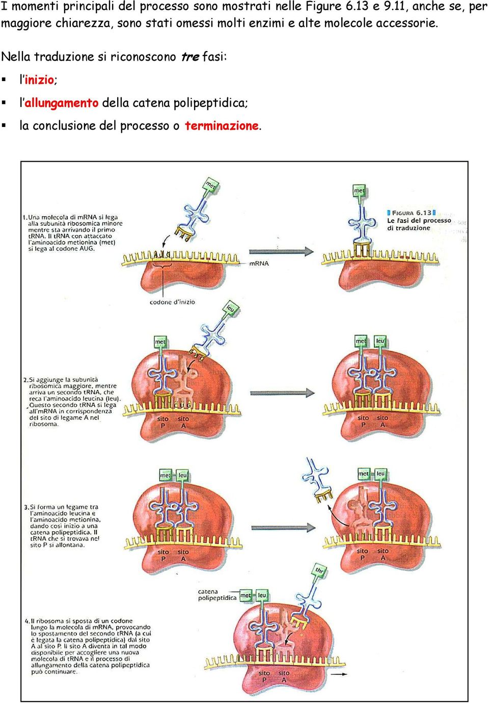 molecole accessorie.