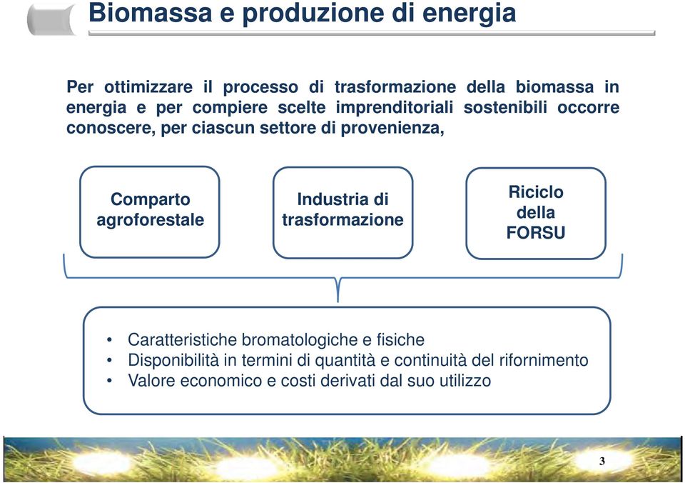 agroforestale Industria di trasformazione Riciclo della FORSU Caratteristiche bromatologiche e fisiche