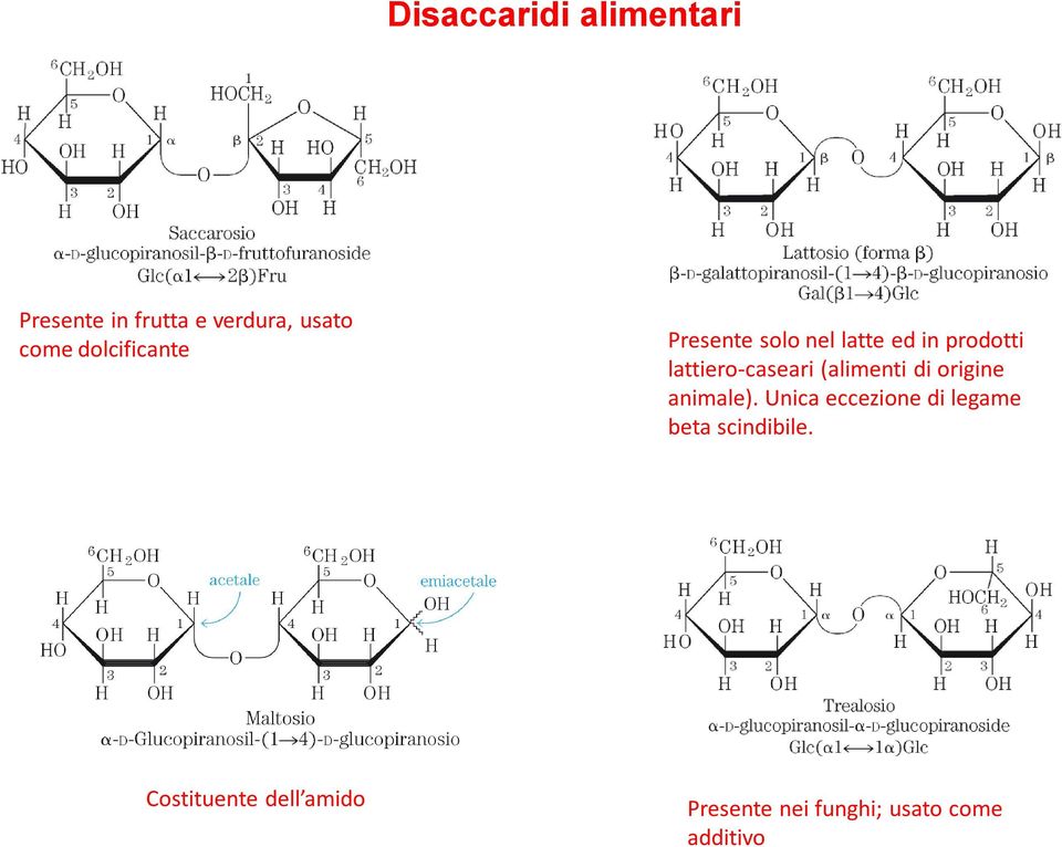 lattiero-caseari (alimenti di origine animale).