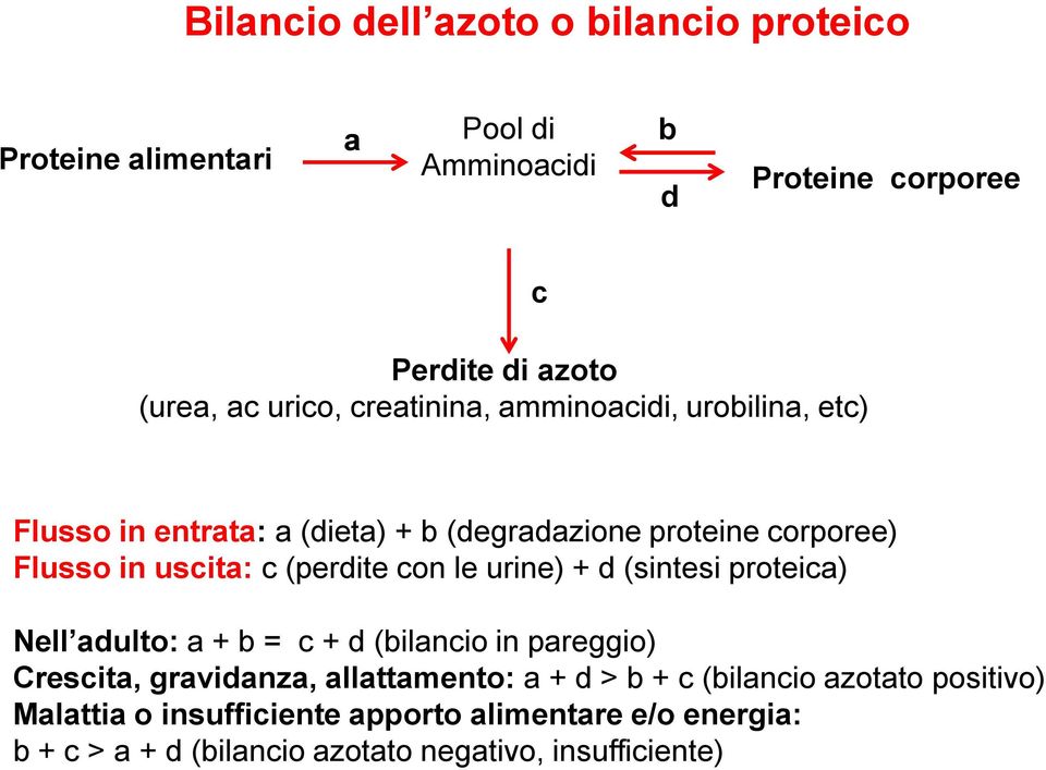 (perdite con le urine) + d (sintesi proteica) Nell adulto: a + b = c + d (bilancio in pareggio) Crescita, gravidanza, allattamento: a + d