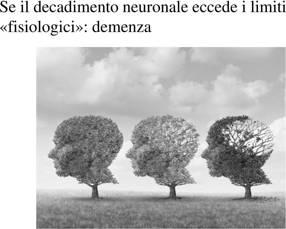 neuronale eccede