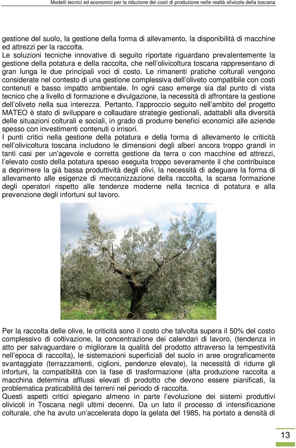 Le soluzioni tecniche innovative di seguito riportate riguardano prevalentemente la gestione della potatura e della raccolta, che nell olivicoltura toscana rappresentano di gran lunga le due