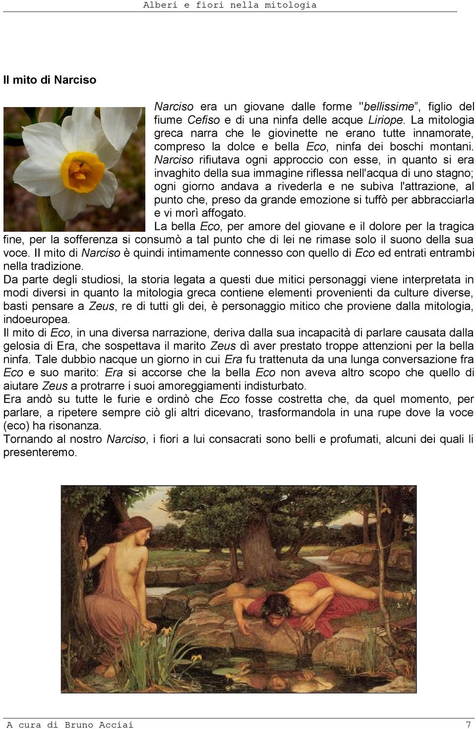 Narciso rifiutava ogni approccio con esse, in quanto si era invaghito della sua immagine riflessa nell'acqua di uno stagno; ogni giorno andava a rivederla e ne subiva l'attrazione, al punto che,