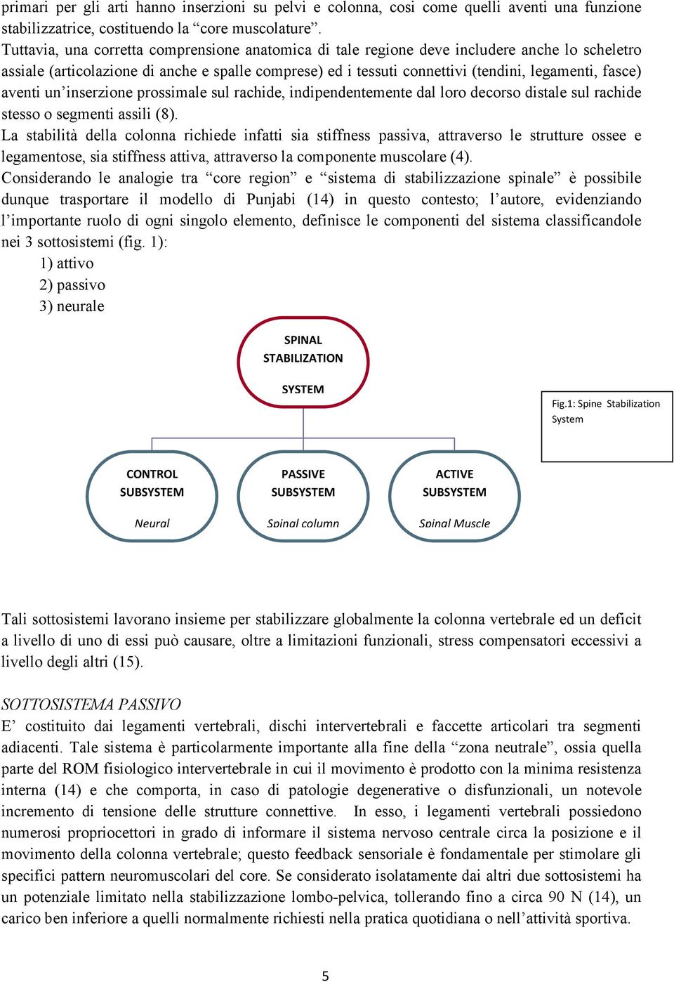 aventi un inserzione prossimale sul rachide, indipendentemente dal loro decorso distale sul rachide stesso o segmenti assili (8).