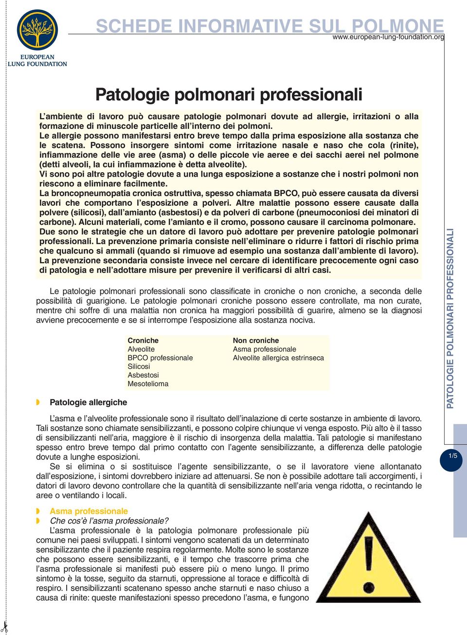 Possono insorgere sintomi come irritazione nasale e naso che cola (rinite), infiammazione delle vie aree (asma) o delle piccole vie aeree e dei sacchi aerei nel polmone (detti alveoli, la cui