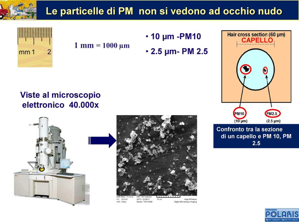 5 CAPELLO Viste al microscopio elettronico