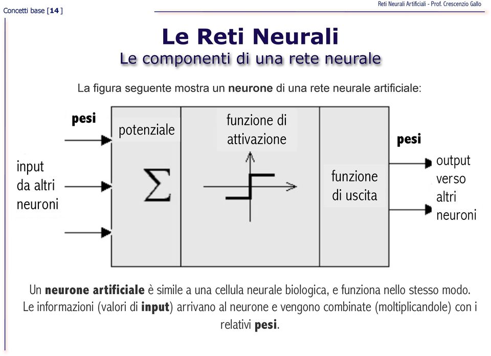 output verso altri neuroni Un neurone artificiale è simile a una cellula neurale biologica, e funziona nello stesso