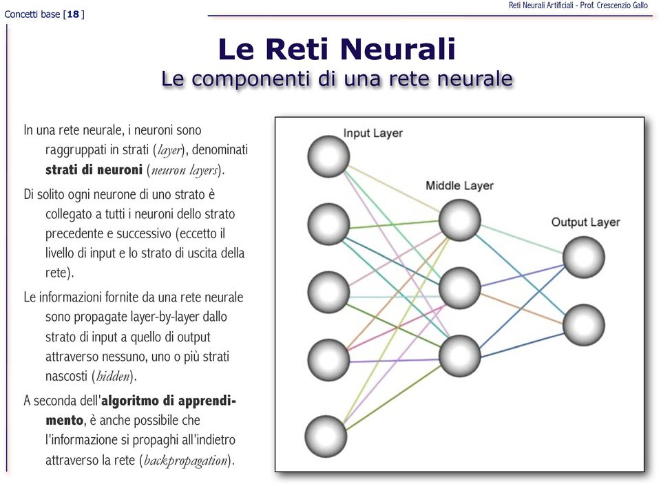 Di solito ogni neurone di uno strato è collegato a tutti i neuroni dello strato precedente e successivo (eccetto il livello di input e lo strato di uscita della rete).