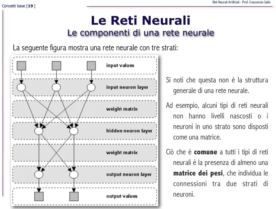 Ad esempio, alcuni tipi di reti neurali non hanno livelli nascosti o i neuroni in uno strato sono disposti come una