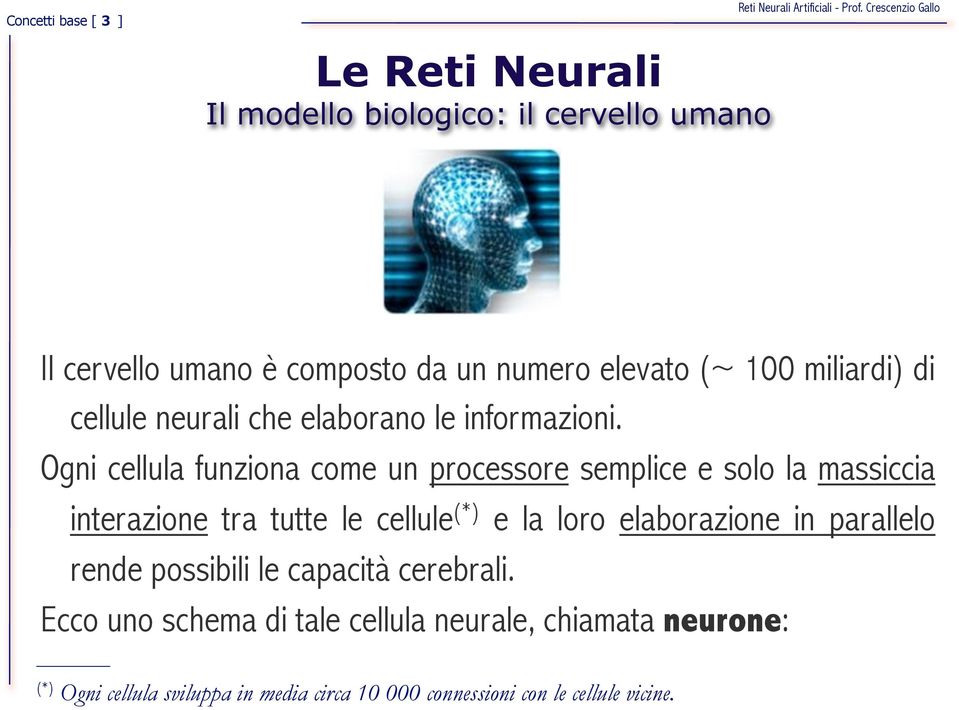 Ogni cellula funziona come un processore semplice e solo la massiccia interazione tra tutte le cellule (*) e la loro