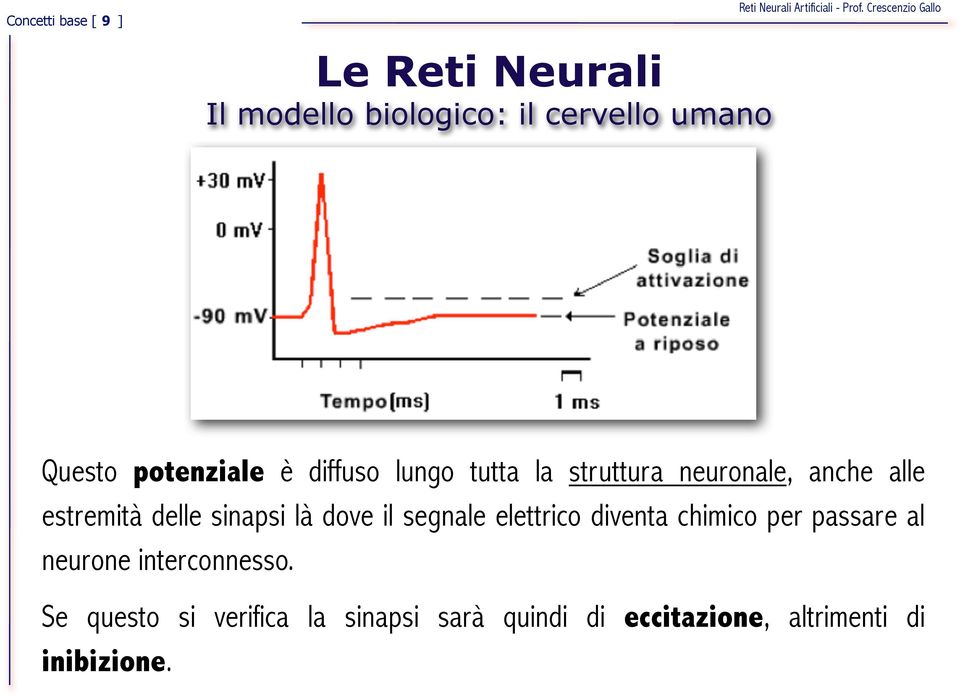 sinapsi là dove il segnale elettrico diventa chimico per passare al neurone