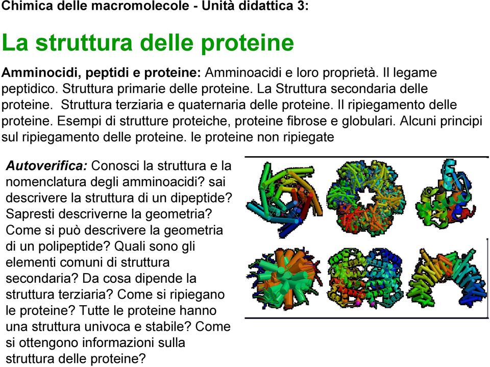 Alcuni principi sul ripiegamento delle proteine. le proteine non ripiegate Autoverifica: Conosci la struttura e la nomenclatura degli amminoacidi? sai descrivere la struttura di un dipeptide?