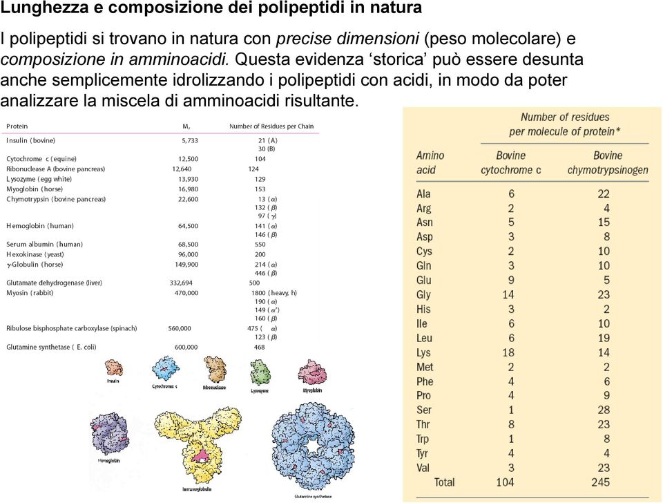 Questa evidenza storica può essere desunta anche semplicemente idrolizzando i