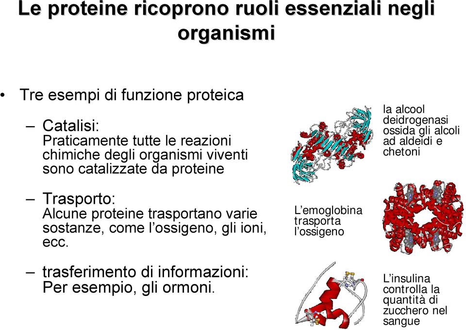 aldeidi e chetoni Trasporto: Alcune proteine trasportano varie sostanze, come l ossigeno, gli ioni, ecc.