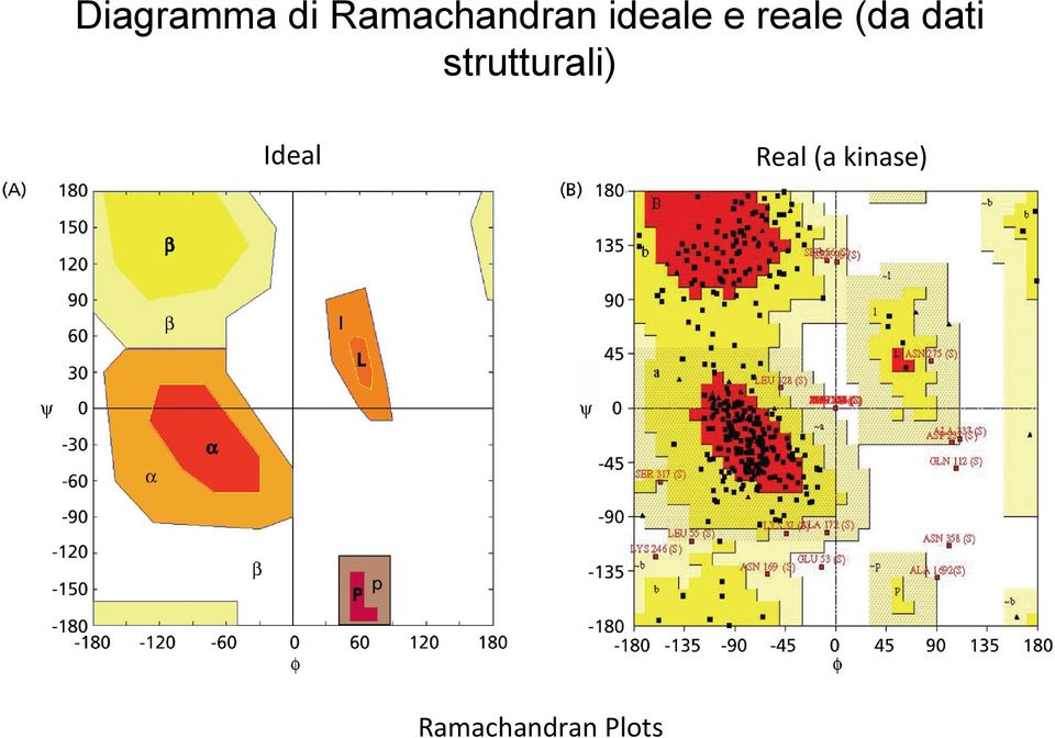 strutturali) Ideal Real