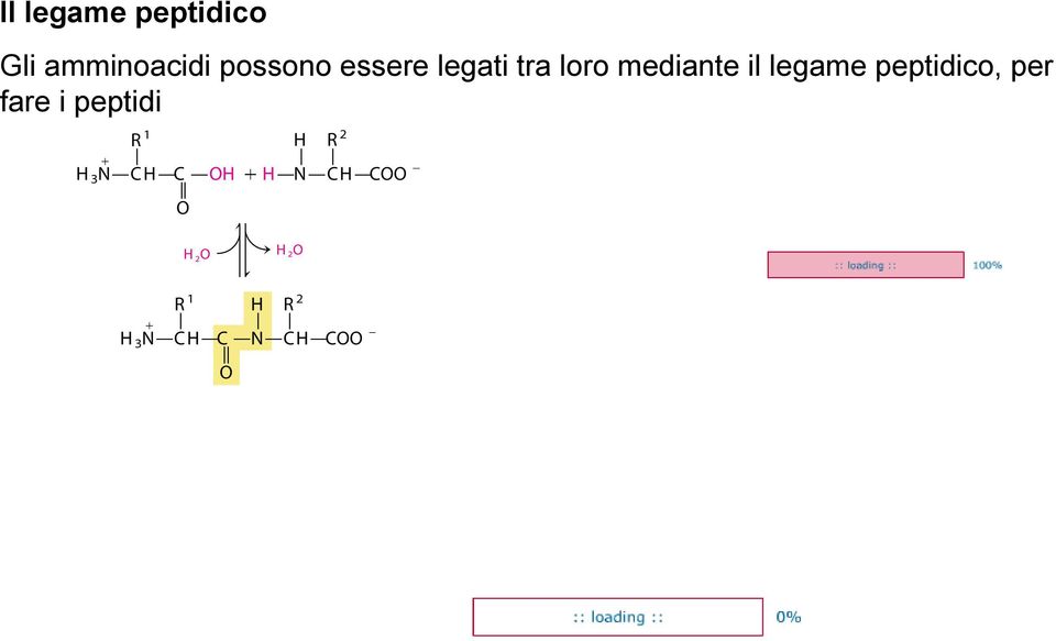 peptidico, per fare i peptidi H 3 N R 1 C H C O H