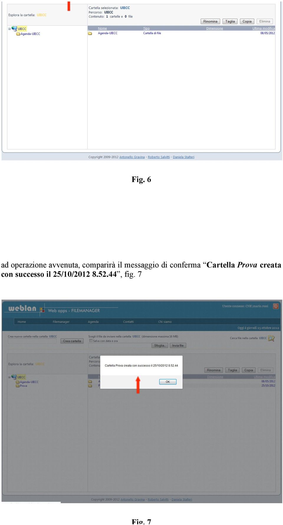 Cartella Prova creata con successo