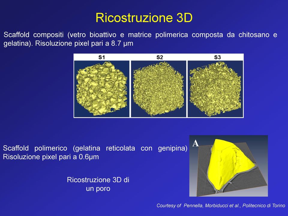 7 μm Scaffold polimerico (gelatina reticolata con genipina) Risoluzione pixel