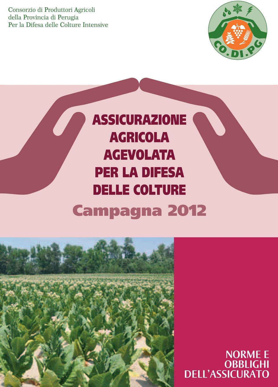 DELLE COLTURE Campagna