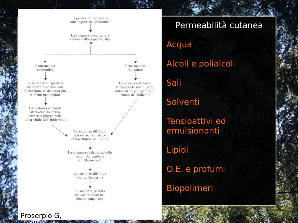 Tensioattivi ed emulsionanti